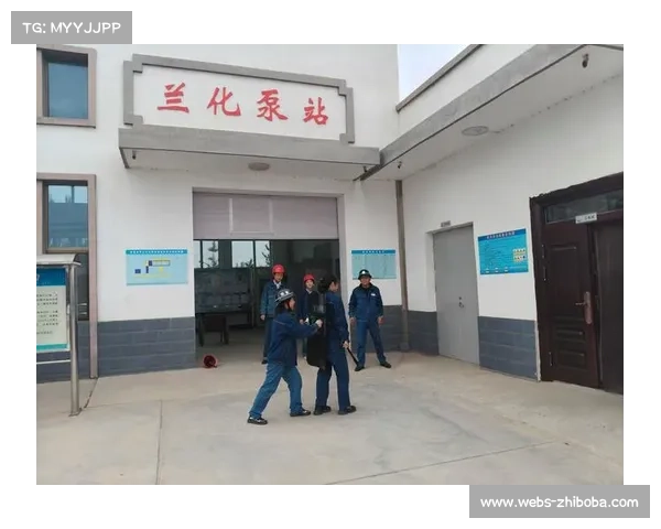 垒球运动带动相关产业链发展，器材与培训市场稳步增长